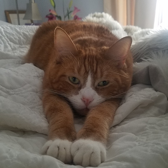 SAVE ON TWO or More ITEMS! - Picture 2 of 2